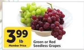 Green or Red Seedless Grapes