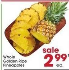 Whole Golden Ripe Pineapples