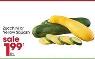 Zucchini or Yellow Squash