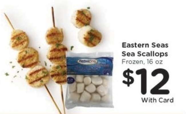 Eastern Seas Sea Scallops