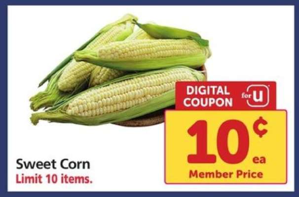 Sweet Corn