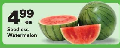 Seedless Watermelon