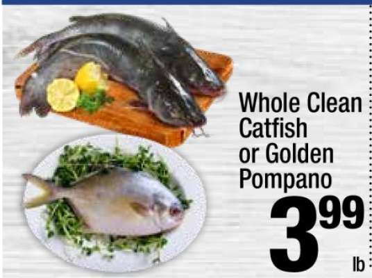 Whole Clean Catfish or Golden Pompano