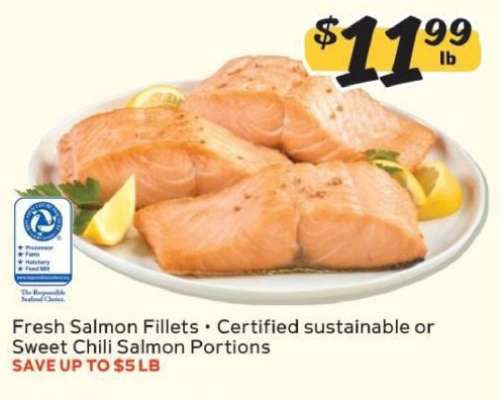 Fresh Salmon Fillets