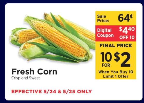 Fresh Corn