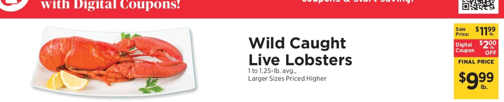 Wild Caught Live Lobsters