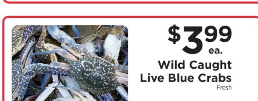 Wild Caught Live Blue Crabs