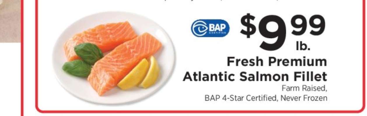 Fresh Premium Atlantic Salmon Fillet