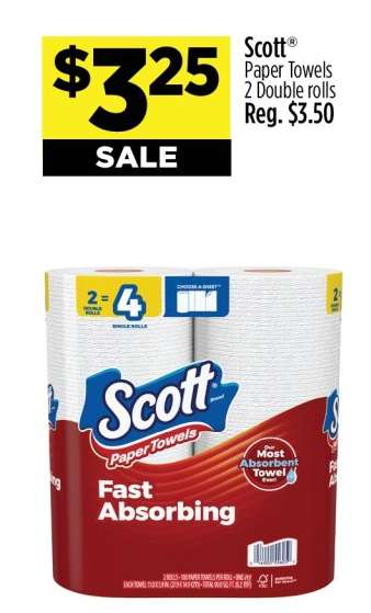 Scott Paper Towels