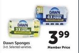 Dawn Sponges