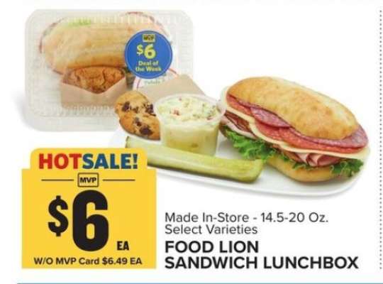 FOOD LION SANDWICH LUNCHBOX