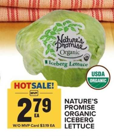 NATURE'S PROMISE ORGANIC ICEBERG LETTUCE