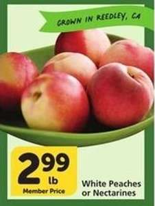 White Peaches or Nectarines