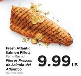 Fresh Atlantic Salmon Fillets