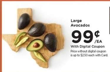 Large Avocados