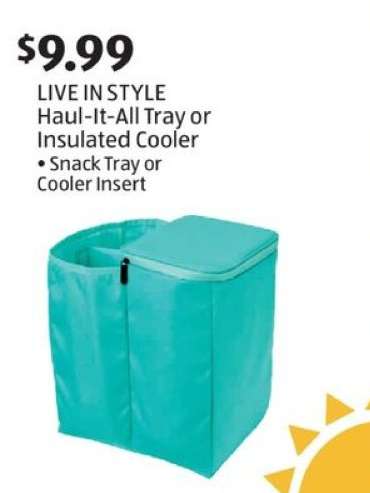 LIVE IN STYLE Haul-It-All Tray or Insulated Cooler