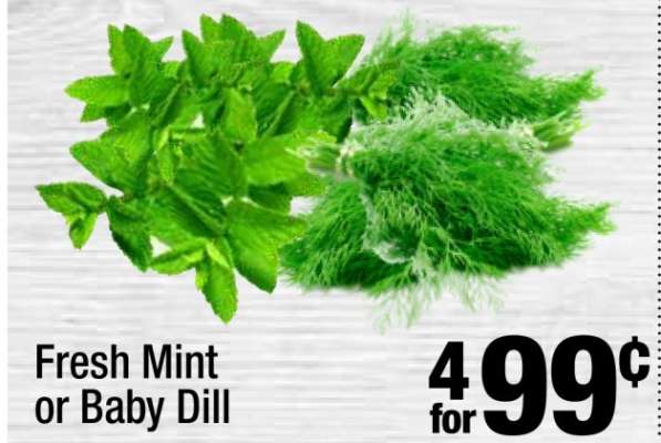 Fresh Mint or Baby Dill