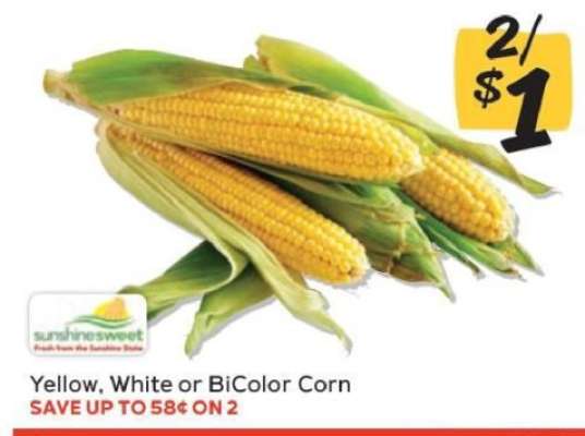 Yellow, White or BiColor Corn