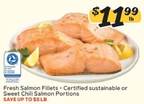Fresh Salmon Fillets
