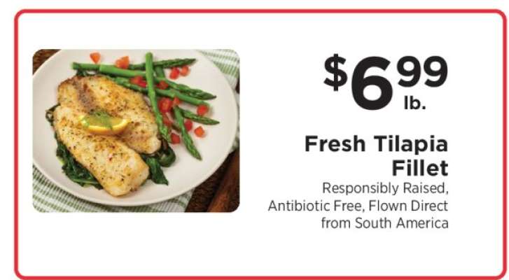 Fresh Tilapia Fillet