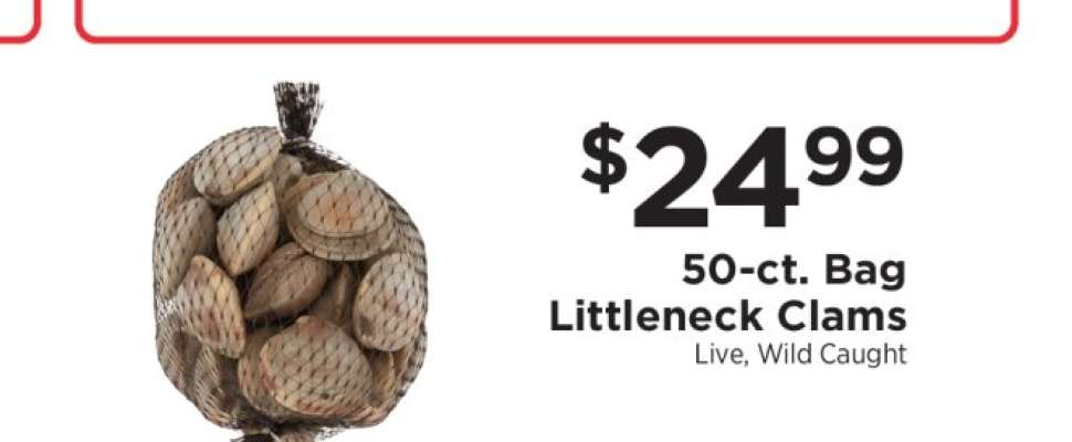 Littleneck Clams