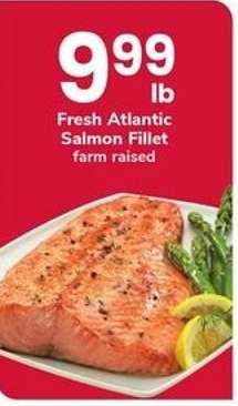 Fresh Atlantic Salmon Fillet