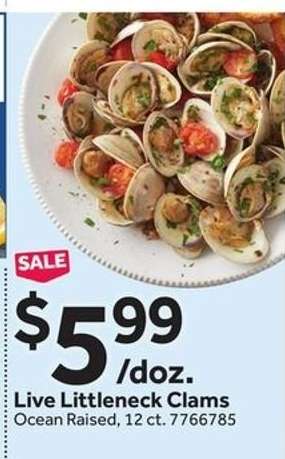 Live Littleneck Clams