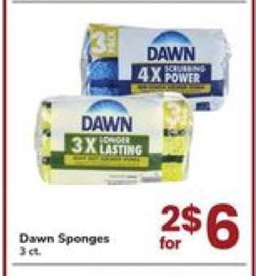 Dawn Sponges