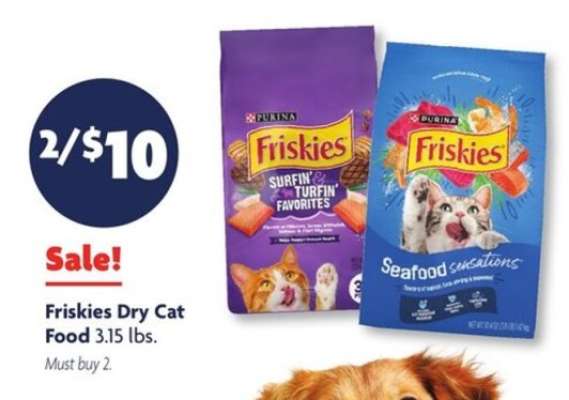 Friskies Dry Cat Food
