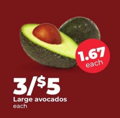 Large Avocados