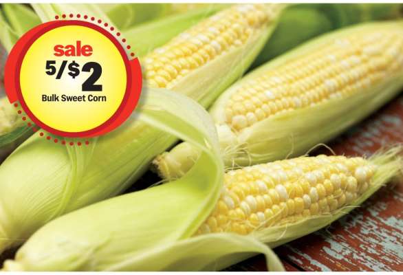 Bulk Sweet Corn