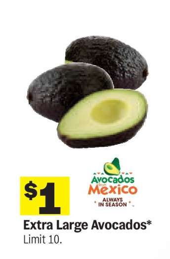 Extra Large Avocados