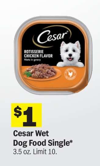 Cesar Wet Dog Food Single