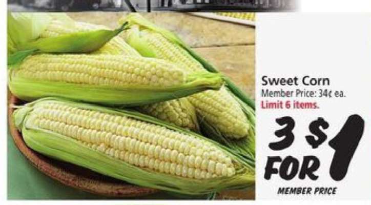 Sweet Corn
