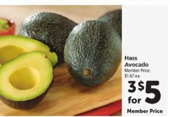 Hass Avocado