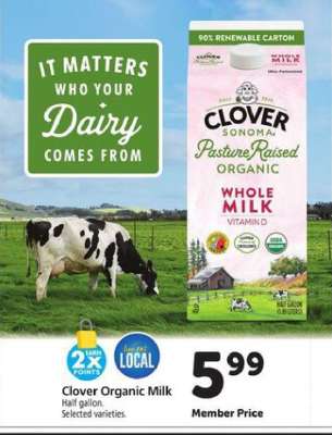 Clover Organic Milk