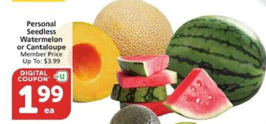 Personal Seedless Watermelon or Cantaloupe