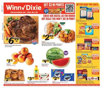 Winn Dixie Flyer - 06/03/2026 - 06/09/2026.