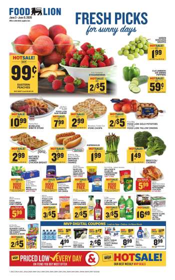 thumbnail - Food Lion Ad - Weekly Ad
