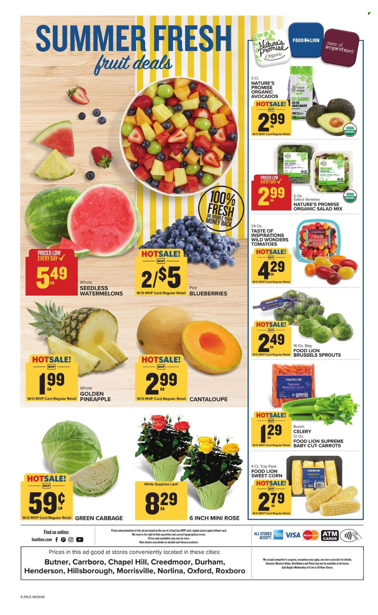 Food Lion ad - 06/03/2026 - 06/09/2026. Page 2