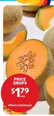 Athena Cantaloupe
