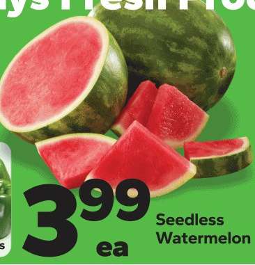 Seedless Watermelon