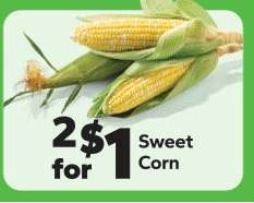 Sweet Corn