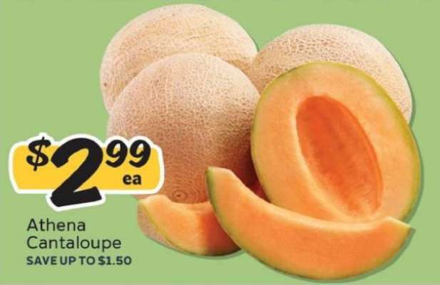 Athena Cantaloupe
