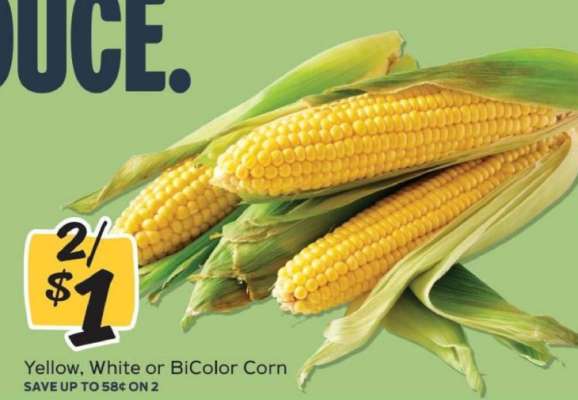 Corn
