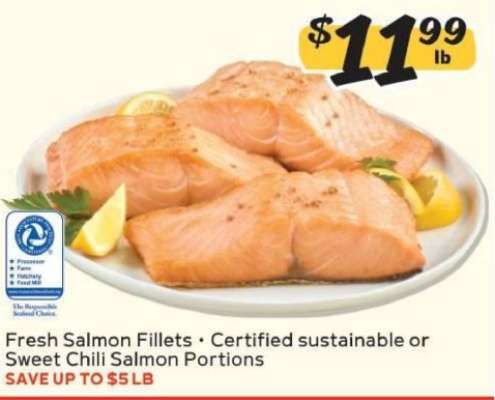 Fresh Salmon Fillets