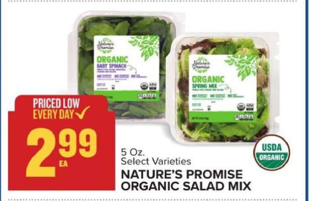 Nature's Promise Organic Salad Mix