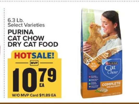 Purina Cat Chow Dry Cat Food