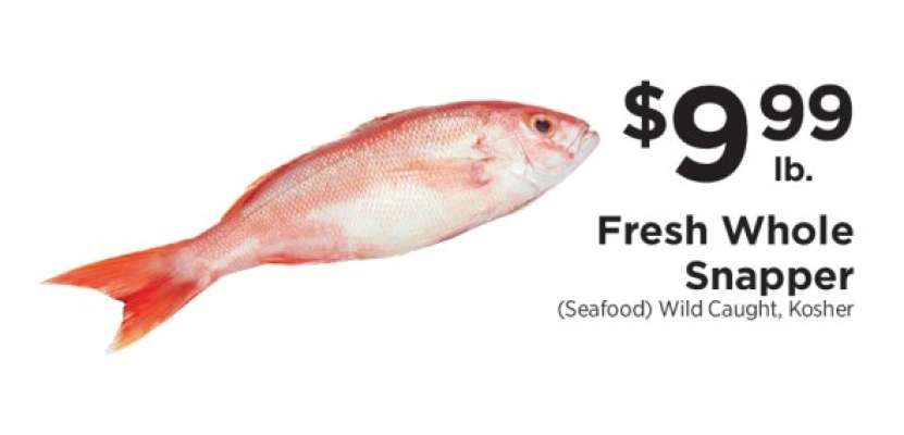 Fresh Whole Snapper