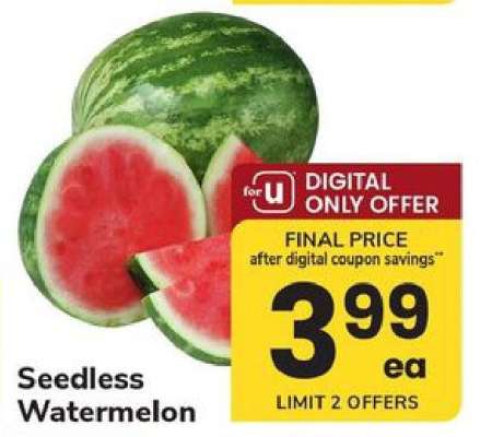 Seedless Watermelon